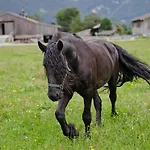 Farm stay Kleintodlinggut *