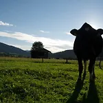 Farm stay Kleintodlinggut Leogang