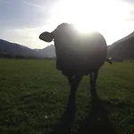 Kleintodlinggut Farm stay *