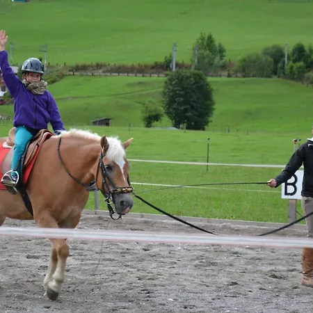 팜스테이 Kleintoedlinggut