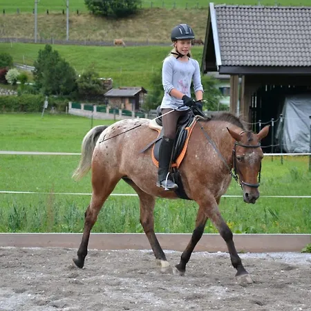 Kleintödlinggut *