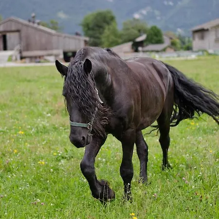 팜스테이 Kleintoedlinggut *