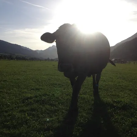 Kleintödlinggut Bauernhof *