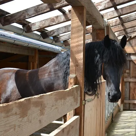 Kleintödlinggut Leogang