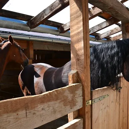 Bauernhof Kleintödlinggut