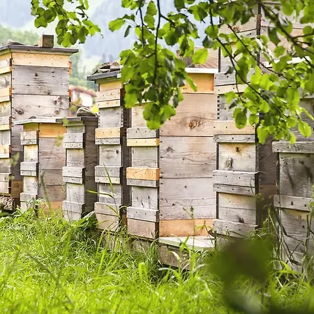 Kleintödlinggut Leogang