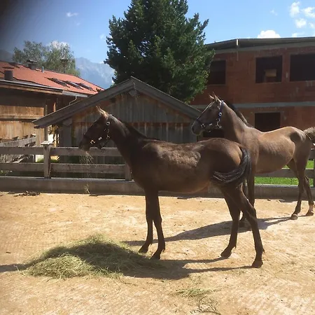 Kleintoedlinggut 팜스테이 레오강