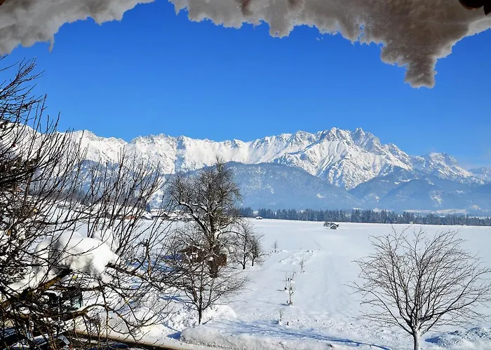 Kleintoedlinggut * 莱奥冈