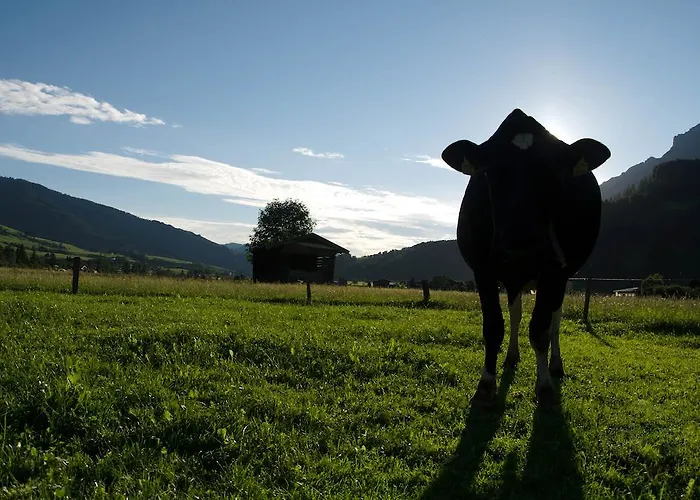 Alojamento de Turismo Rural Kleintoedlinggut Leogang