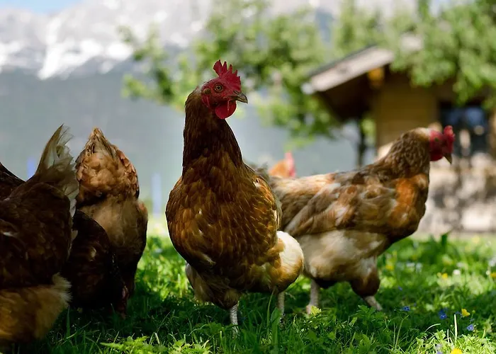 Alojamento de Turismo Rural Kleintoedlinggut Leogang
