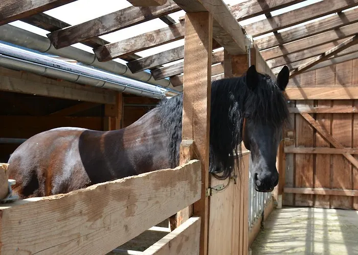 Kleintoedlinggut Leogang