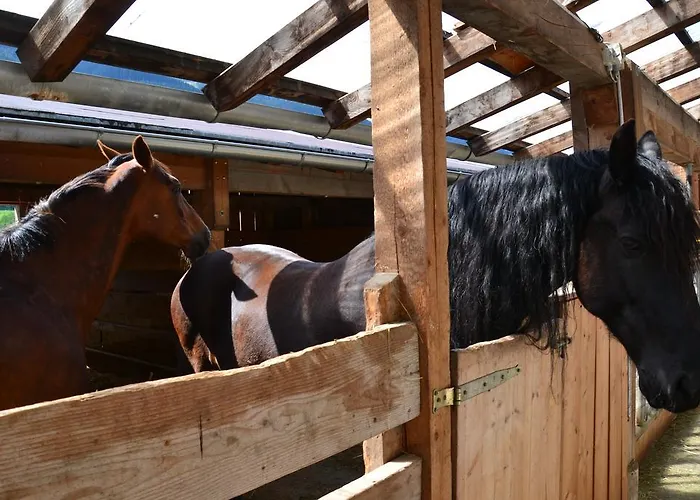 Alojamento de Turismo Rural Kleintoedlinggut