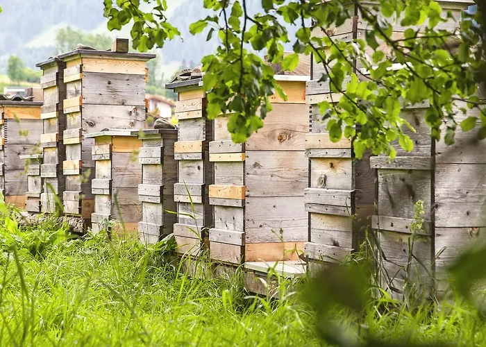 Kleintoedlinggut Leogang