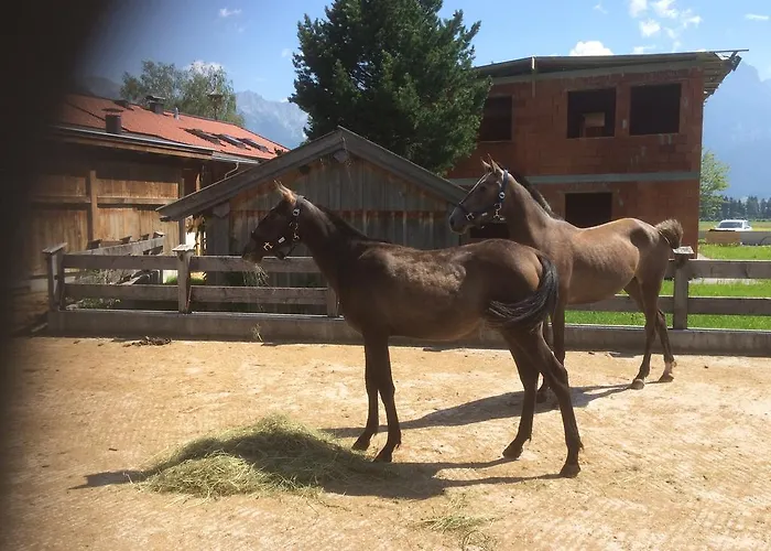 Kleintoedlinggut Alojamento de Turismo Rural Leogang